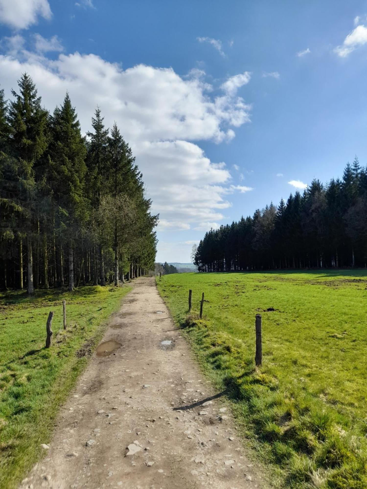 L'Ecureuil - Terrasses De Malmedy Villa Dış mekan fotoğraf