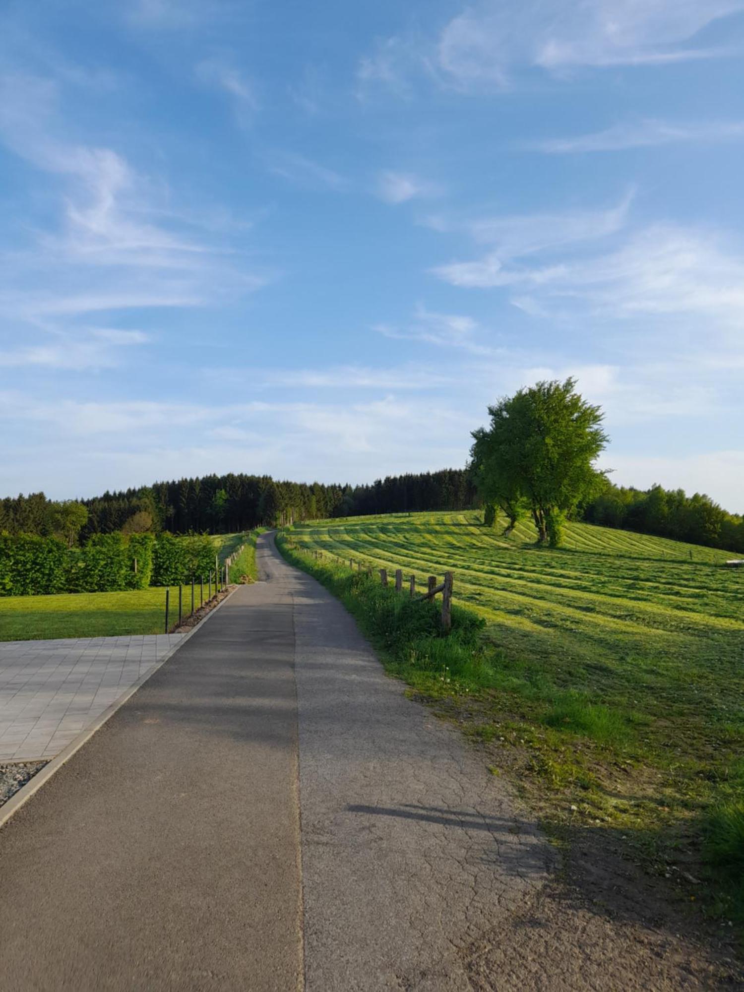 L'Ecureuil - Terrasses De Malmedy Villa Dış mekan fotoğraf