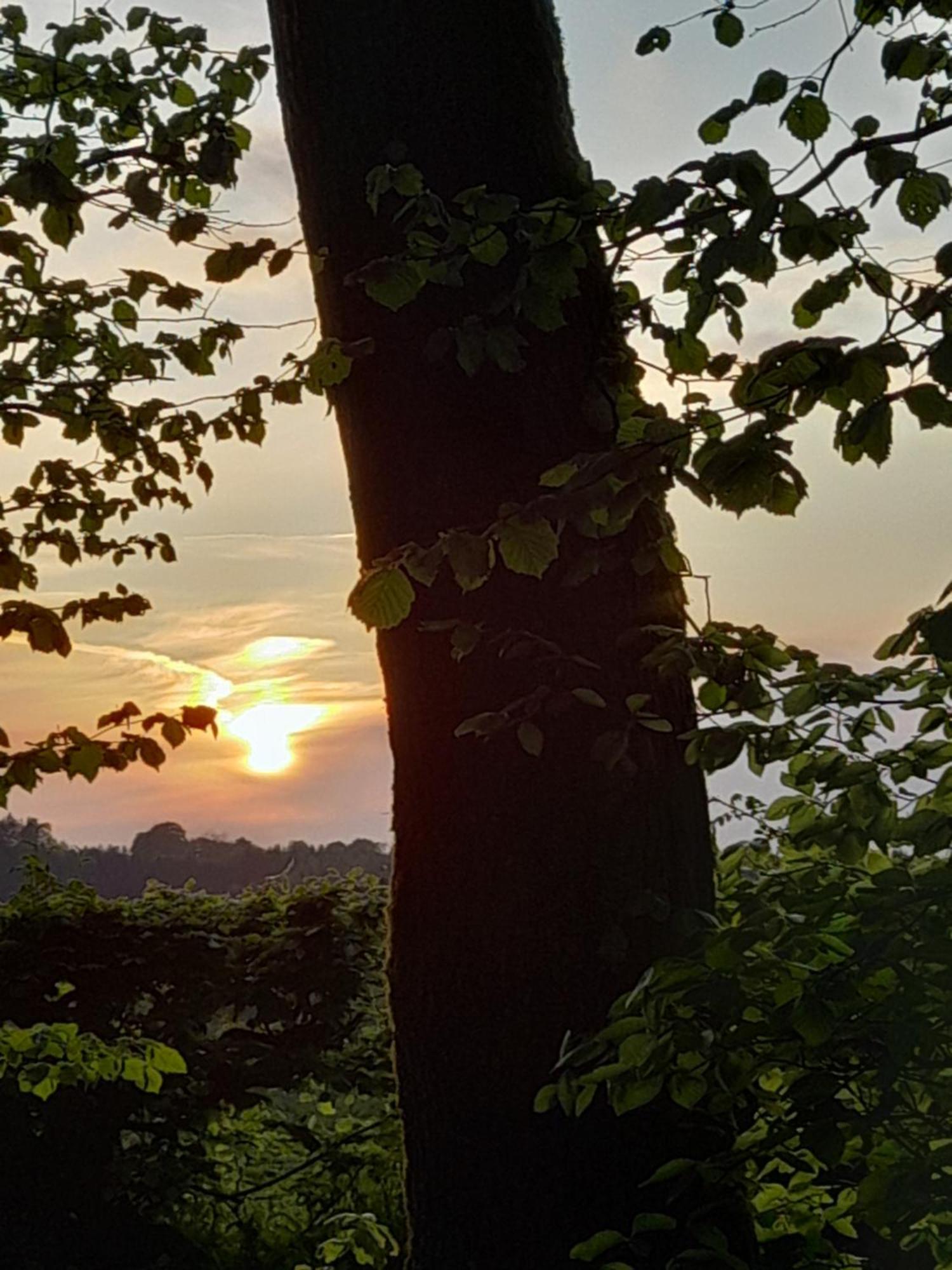 L'Ecureuil - Terrasses De Malmedy Villa Dış mekan fotoğraf