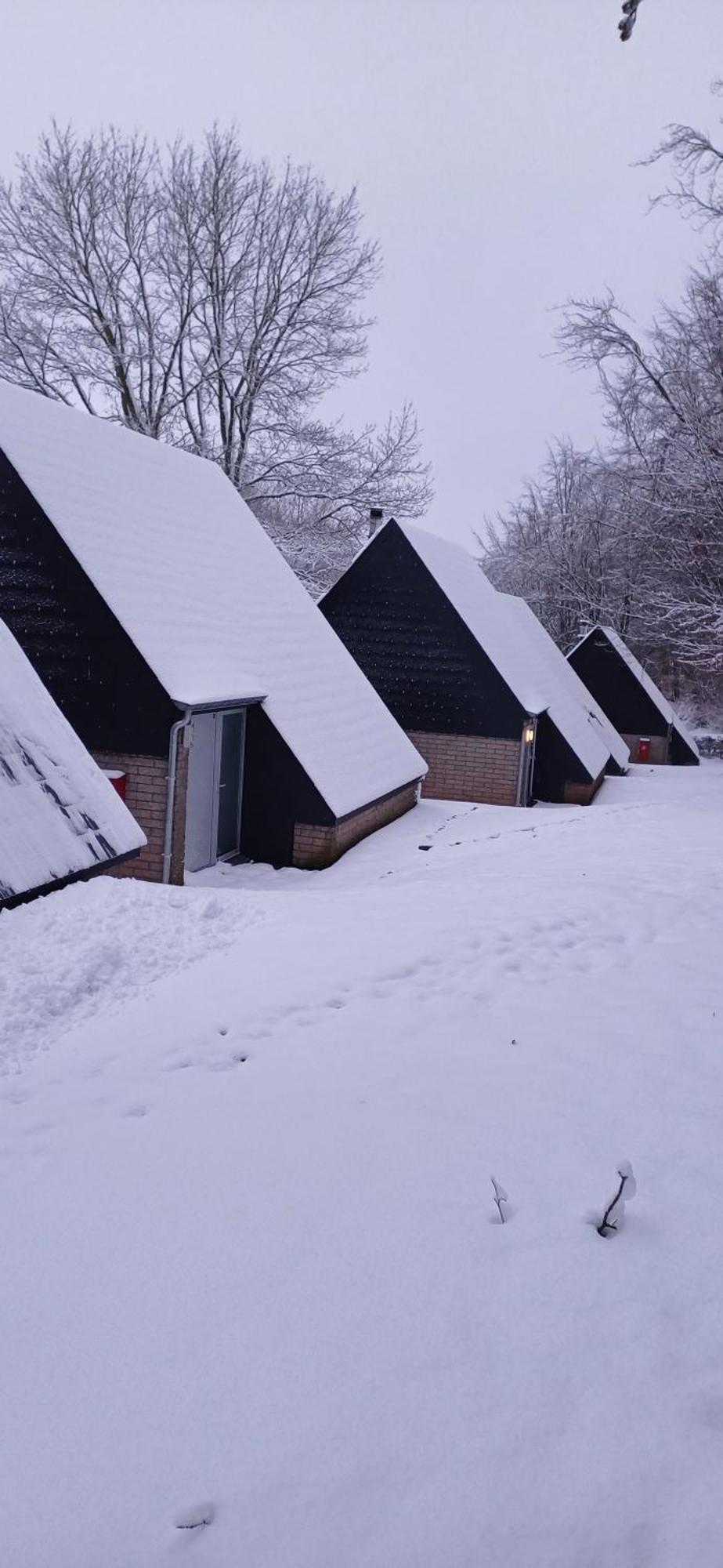 L'Ecureuil - Terrasses De Malmedy Villa Dış mekan fotoğraf