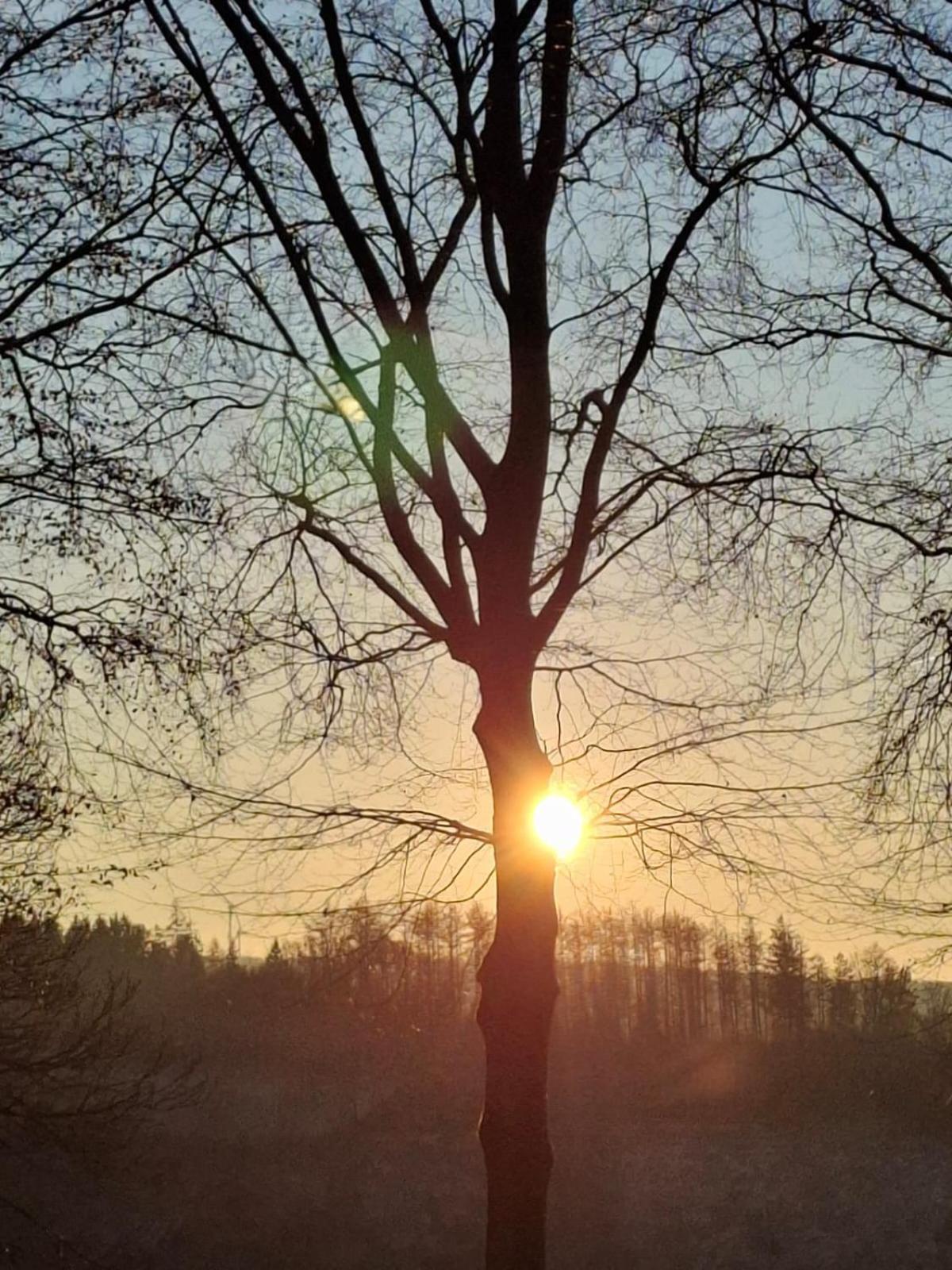 L'Ecureuil - Terrasses De Malmedy Villa Dış mekan fotoğraf